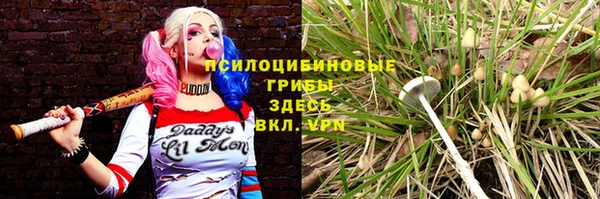 экстази Алзамай