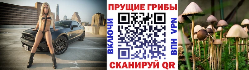 Галлюциногенные грибы прущие грибы  kraken как войти  Шатура 