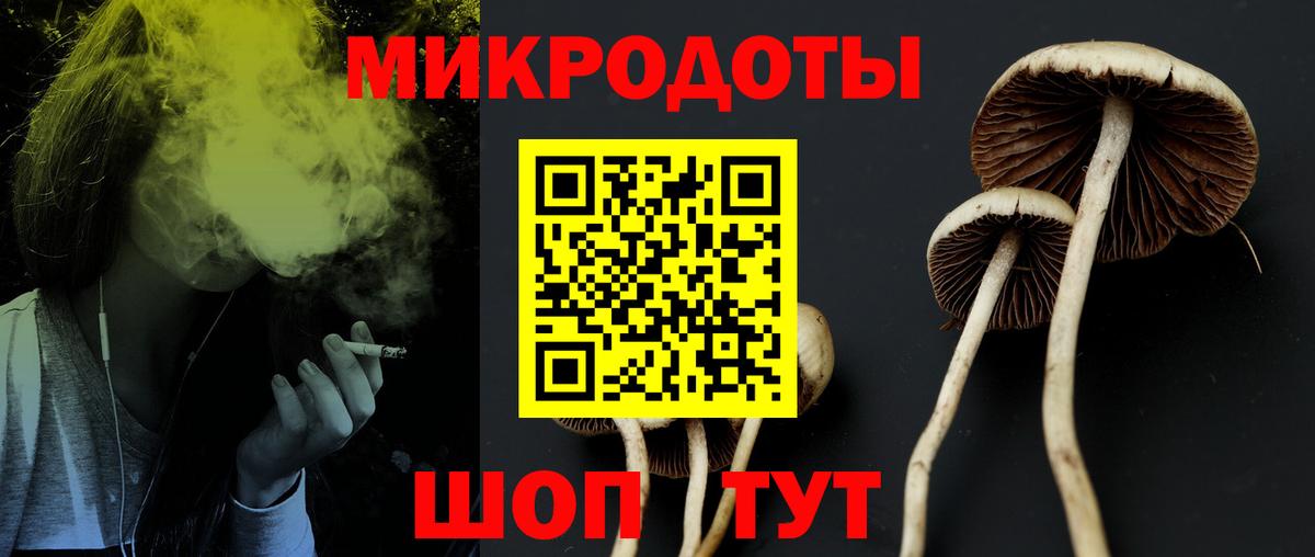 Галлюциногенные грибы Magic Shrooms  Вход с VPN  цена   Шатура 