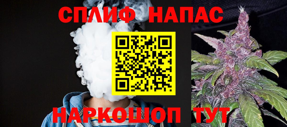 Каннабис индика Шатура